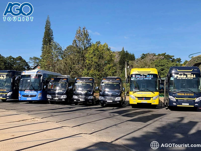 Các Nhà Xe Từ Buôn Ma Thuột Đi Đà Lạt: Lịch Trình, Giá Vé và Kinh Nghiệm