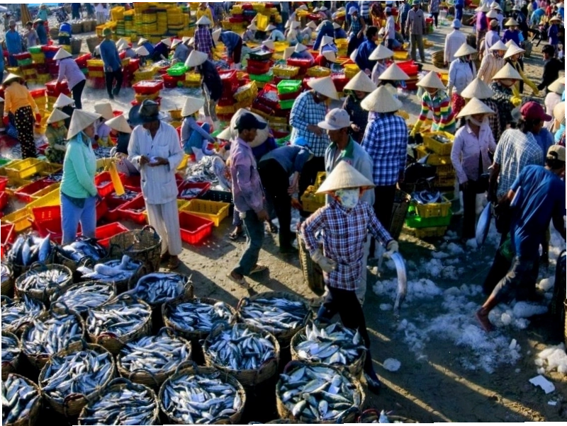 Chợ Bến Đình Vũng Tàu vào buổi sáng sớm