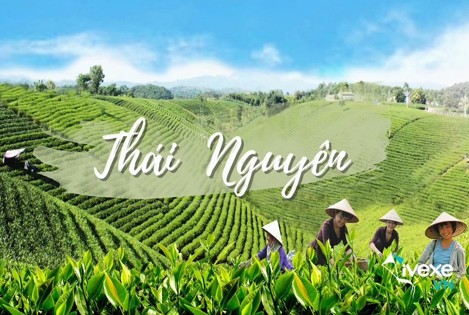 Nhà xe Anh Duy: Tuyến Thái Nguyên - Bắc Ninh chất lượng cao 2026
