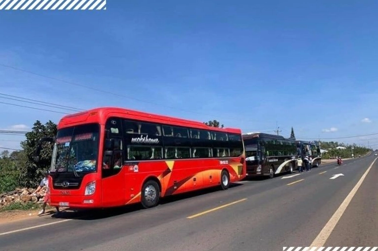 Xe Limousine Móng Cái đi Thanh Hóa: Lựa chọn tối ưu cho hành trình