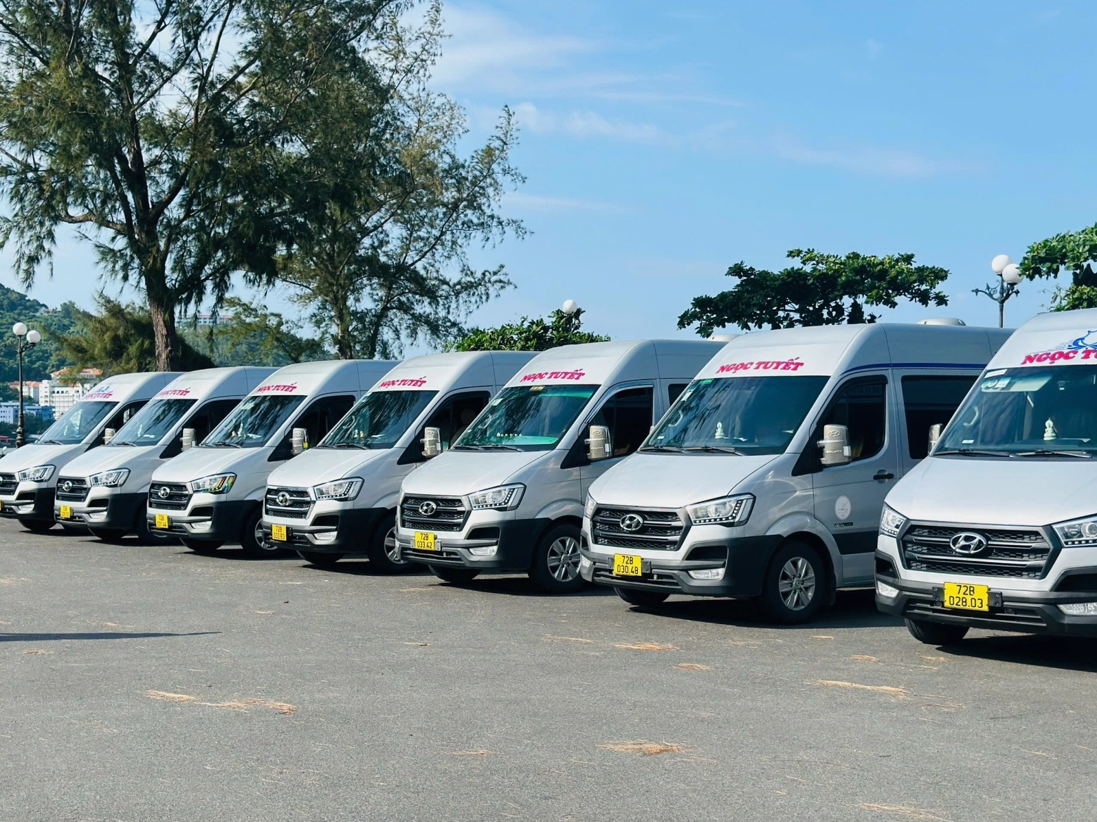 Xe Ngọc Tuyết Vũng Tàu: Lộ trình, Số điện thoại và Địa chỉ chi tiết 2026