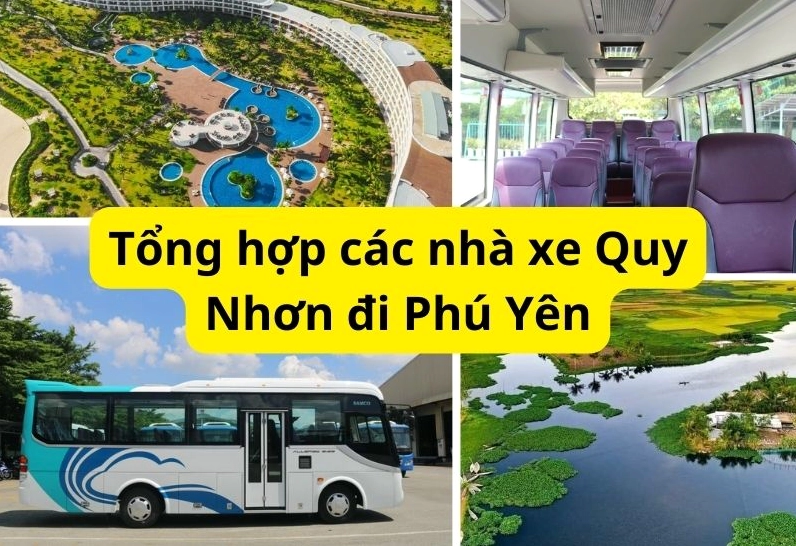 Xe từ Quy Nhơn đi Phú Yên: Thông tin chi tiết và cập nhật mới nhất 2026